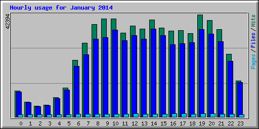 Hourly usage for January 2014