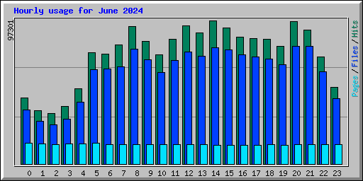 Hourly usage for June 2024