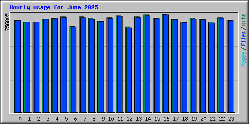 Hourly usage for June 2025