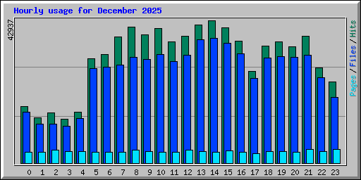 Hourly usage for December 2025