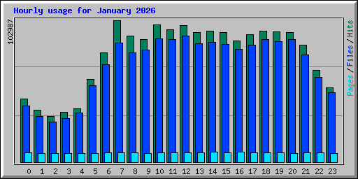 Hourly usage for January 2026