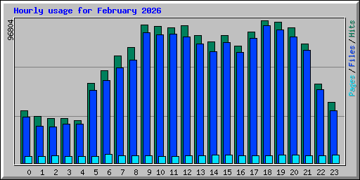 Hourly usage for February 2026